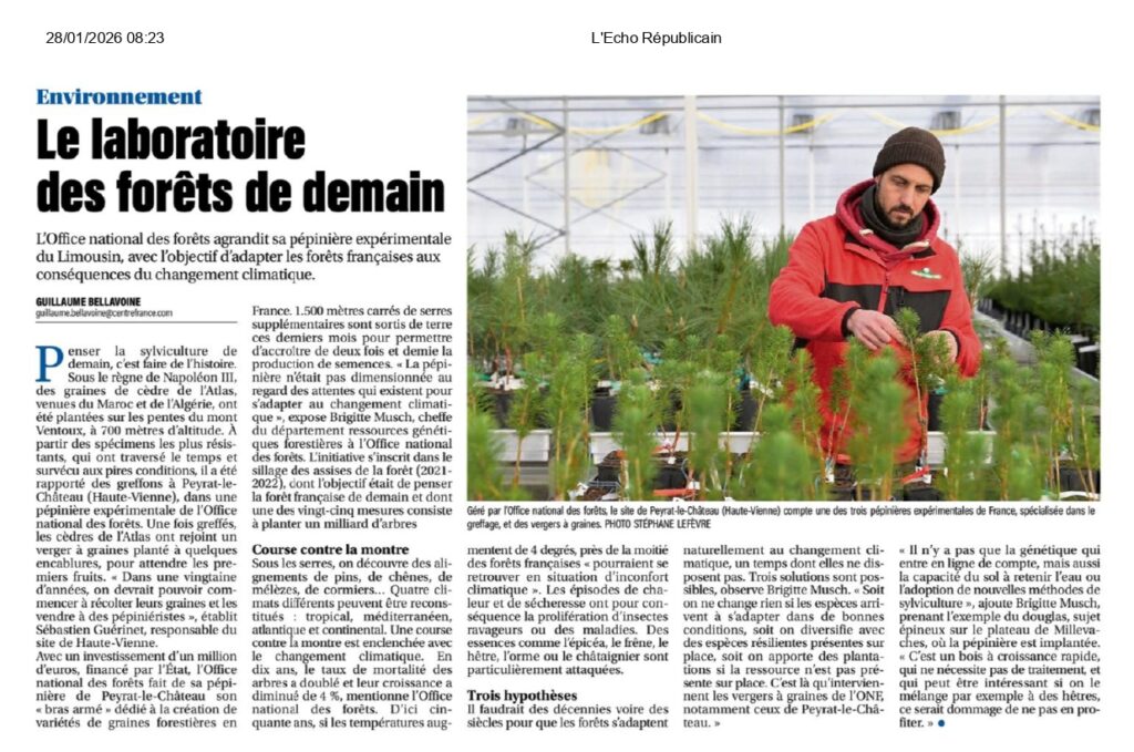 Les pépinières de l'ONF