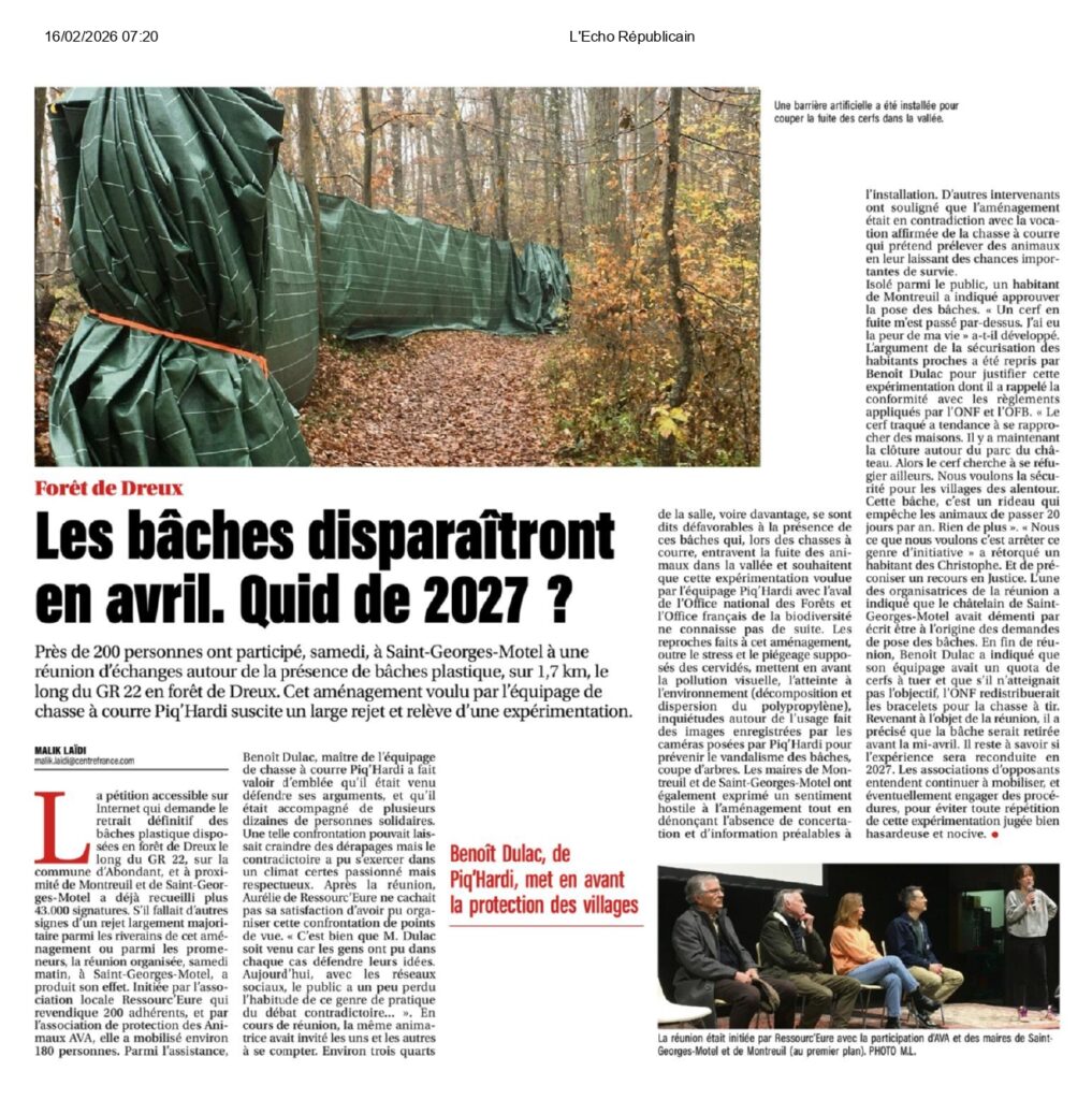 Chasse à cour à Dreux
