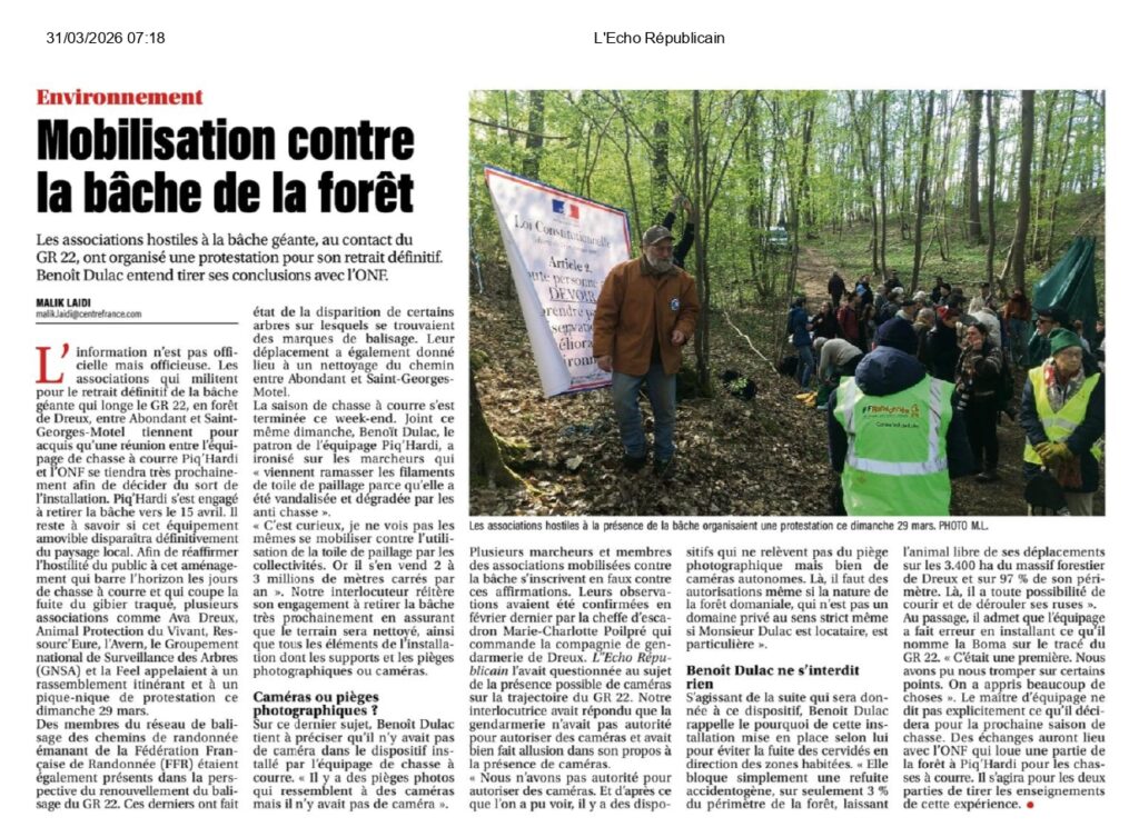 Chasse à cour à Dreux