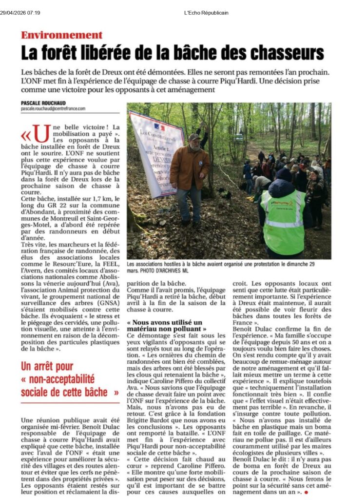 Chasse à cour à Dreux - fin